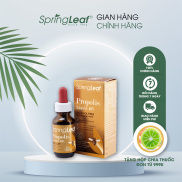 SpringLeaf Propolis Liquid 40% Alcohol free, hỗ trợ trị viêm đường hô hấp