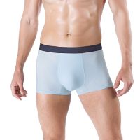 Mens Ice Silk Seamless Breathable Comfy Boxers Underwear Bulge Shorts Briefs