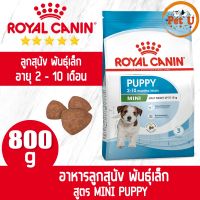 [หมดอายุ2023] Royal Canin สูตร MINI PUPPY 800g อาหารเม็ด สำหรับลูกสุนัข พันธุ์เล็ก อายุ 2 - 10 เดือน