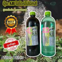 ปุ๋ย AB HYDROPONICS ชุด A1ลิตร B1ลิตร สารละลายธาตุอาหารผักไฮโดรโปนิกส์ ปุ๋ยไฮโดรโปนิกส์ ปุ๋ย AB แพ๊คคู่ ปุ๋ยน้ำ สูตรเพิ่มธาตุเหล็ก