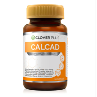 Clover Plus Calcad แคลแคท สารสกัด แคลเซียม สำหรับกระดูก ข้อต่อ เส้นเอ็น กล้ามเนื้อ ภูมิคุ้มกัน เหน็บชา 1ขวด/30แคปซูล