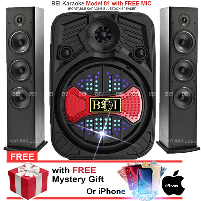 BEI Karaoke Model 81 Wireless Portable LED Bluetooth Gym Workout Zumba
