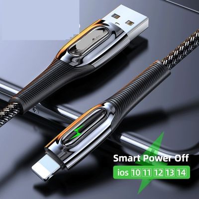 USB Cable 2.4A Fast Charging For 12 11 Pro Max Xs X 8 7 6 Plus Smart Power Off Cable For air mini Data Cable