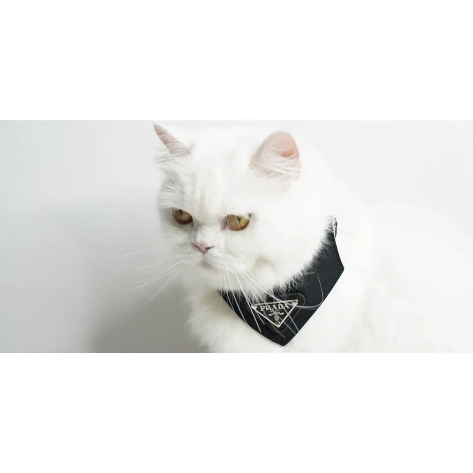 Prada Logo Scarf Pet Collar In F0002 Nero