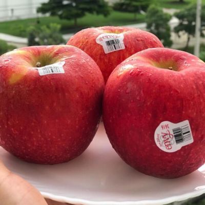 แอปเปิ้ลเอนวี่ ENVY APPLE (NewZealand/USA) Apple หวาน กรอบ อร่อย (ราคา / 1ลูก / ไซส์M)