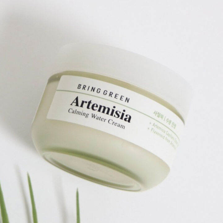 Bring Green Artemisia Calming Water Cream 75ml K beauty moisturizer for