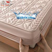 【hot】！ Fitted Sheet Color Cotton Embossed Mattress Protector Cover for Soft Bed