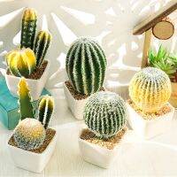 [AMO Garden Decoration]ประดิษฐ์พลาสติกกระบองเพชร Succulents เต็มไปด้วยหนามลูกแพร์กระถางพืชไม่มีหม้อเป็นมิตรกับสิ่งแวดล้อมจำลองโฮมออฟฟิศตกแต่งสก์ท็อปAMO Garden Decoration