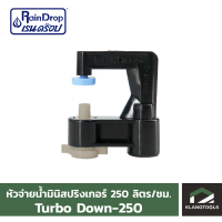 หัวน้ำ Raindrop หัวมินิสปริงเกอร์ Minisprinkler หัวจ่ายน้ำ หัวเรนดรอป รุ่น TURBO DOWN 250 ลิตร