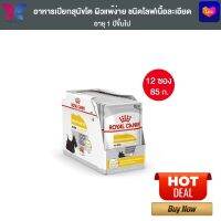 [ยกกล่อง 12 ซอง] Royal Canin Dermacomfort Pouch Loaf อาหารเปียกสุนัขโต ทุกขนาด สำหรับผิวแพ้ง่าย (โลฟเนื้อละเอียด, Wet Dog Food, โรยัล คานิน)