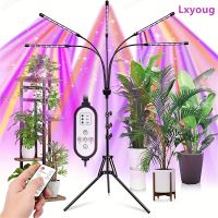 geegostudio 1 Set, Grow Lights For Indoor Plants,Full Spectrum Grow Light With Adjustable Stand And Sturdy Clip,5/4 Light Tube,3 Light Modes,10 Dimmable Brightness,4/8/12 H Timer,360° Gooseneck,Remote Control