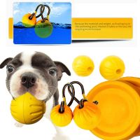 【LZ】 Interactive Dog Toys Rope Ball Toy For Play Chewing Dog Training Toys Portable EVA Ball Pet Supplies For Small Large Dog
