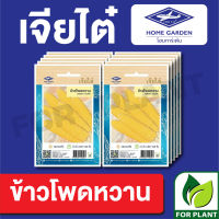 ผักซองเจียไต๋  ข้าวโพดหวาน บรรจุแพ็คล่ะ 10 ซอง ราคา 70 บาท