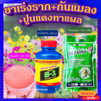 (ส่งฟรี)? น้ำยาเร่งราก + สตาร์เกิลจี กันแมลง + ปูนแดงทาแผลต้นไม้ ? ป้องกันโรคเน่าและเชื้อรา 100กรัม?