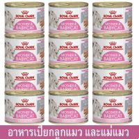 (ลด50%) (12 กระป๋อง) อาหารเปียกแมวกระป๋อง Royal Canin Mother &amp; Babycat Mousse 195g รอยัล คานิน อาหารลูกแมว แม่แมวให้นม เฉพาะวันนี้เท่านั้น !!!!