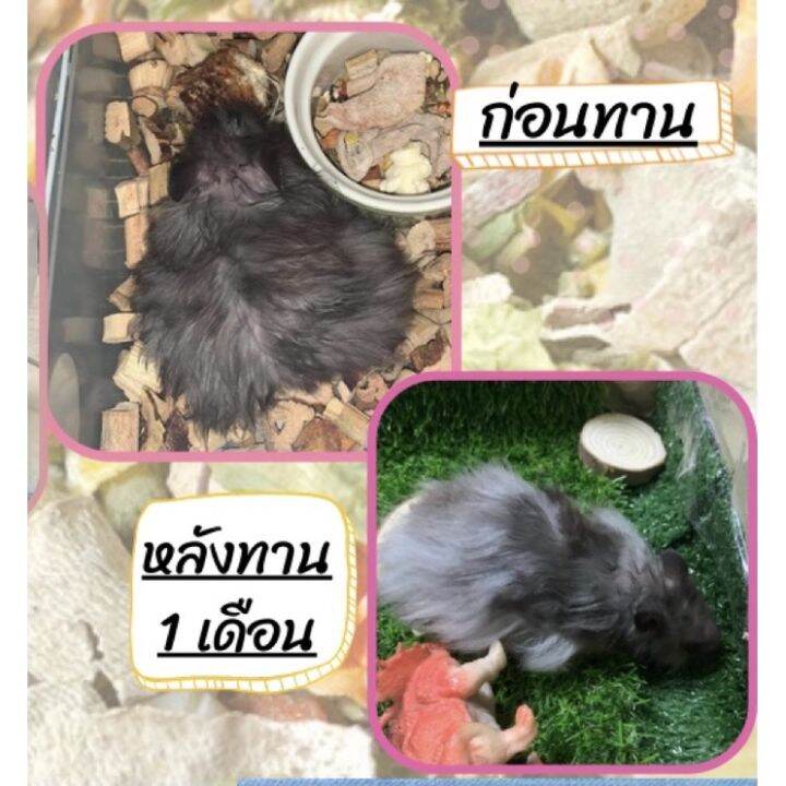 by-for-you-hamster-food-อาหารผสมแฮมเตอร์-สูตรพรีเมี่ยม-สำหรับ-หนูเเฮมเตอร์-ทุกสายพันธุ์