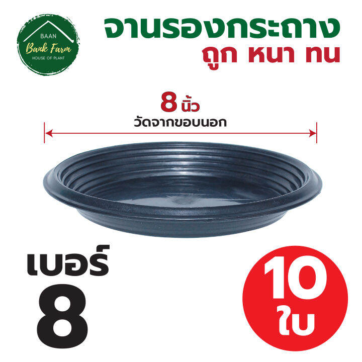 จานรองกระถาง8-นิ้ว-สีดำ-1-10ใบ-จานรองกระถางราคาถูก-จานรองกระถางพลาสติก-จานรองต้นไม้-l-บ้านแบงค์ฟาร์ม