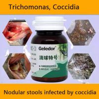 Trichomonas Pigeon Coccidia 2-In-1การติดเชื้อในอุจจาระกลมความผิดปกติของระบบย่อยอาหาร100ยาเม็ด