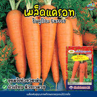 เมล็ดแครอท ชินคูโรดะ Carrot เมล็ดพันธุ์แครอท  แครอท  เมล็ดผักสวนครัว เมล็ดพันธุ์ผัก ตราภูเขาทอง