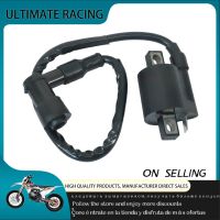 Motorcycle Ignition Coil Replacement Parts 150cc 200cc 250cc ATV Scooter Moped Gokarts SUV Motor n84f 12V