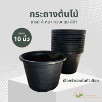 กระถางต้นไม้ 10" เลือกจำนวนในตัวเลือก แบบหนา กระดางดำ กระถางต้นไม้ กระถางพลาสติก