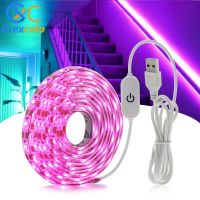 Hand Sweep Sensor LED Strip DIY USB 5V LED Tape Warm Light White Pink Purple Ice Blue Touch Dimming LED Strip Lights