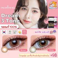 คอนแทคเลนส์ Dream 3 Tone Brown / Gray (Wink) ขนาดบิ๊กอาย ? Bigeye ตาฉ่ำ ตาหวาน แนว Dream / Oh Soul / Forum ขายดีมาก