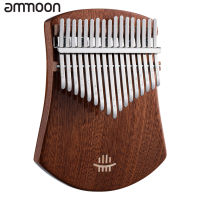 hluru 17-Key Finger Thumb Piano Portable Musical Instrument Solid Wood Body for Kids Adults Music Lover Beginners Professional with Tuning Hammer Wipe Cloth Notes Sticker wub