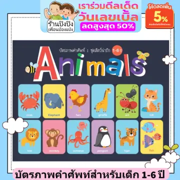 บัตรคำศัพท์สัตว์ภาษาอังกฤษ ราคาถูก ซื้อออนไลน์ที่ - ก.ค. 2023 | Lazada.Co.Th