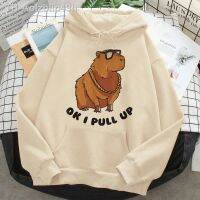 Aolzbiip49h Capybara hoodies ผู้ชาย y2k ความงามฤดูหนาวดึงชายอะนิเมะดึง