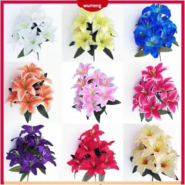 Lily Flowers Giá Tốt T09/2023 | Mua Tại Lazada.Vn