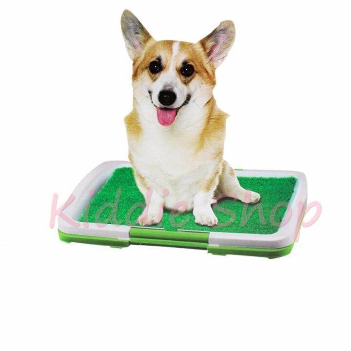 Puppy Potty Trainer Indoor Grass Pad Lazada PH