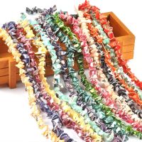 Colorful Coral Shells Beads Chain 15mm Natural Seashells for DIY Jewelry Making Bracelet Accessories Home Decor Crafts TR0436