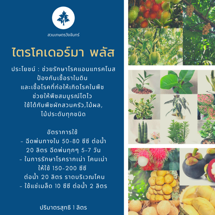 ไตรโคเดอร์มา-พลัส-สวนเกษตรวังจันทร์-ขนาด-1-5-ลิตร