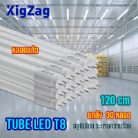 [XIGZAG] ] หลอดไฟ LED T8 /Tube T8 /หลอดแก้ว T8/หลอดนีออน T8/18W 20W 120cm ไฟฟ้าบ้าน 220V LN เข้าคนละข้าง ขั้วG13 LEDหลอดแก้ว พร้อมอลูมิเนียมระบายความร้อนได้ดี