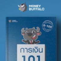 การเงิน 101 พื้นฐานเรื่องการเงิน ที่ระบบการศึกษาไทยไม่เคยสอน สรุปเนื้อหา 0-100 ในเล่มเดียว! ผู้เขียน Money Buffalo (พี่ทุย)