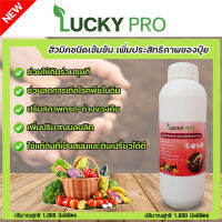 สารเสริมประสิทธิภาพของปุ๋ย1000mlเพิ่มผลผลิตลดต้นทุนLUCKY PROฮิวมิคชนิดเข้มข้นปรับสภาพกรด-ด่างของดินเป็นมิตรกับสิ่งแวดล้อมสูตรเข้มข้น