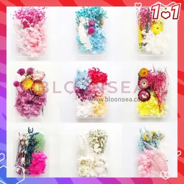 Dried Pressed Flowers for Resin Dry Leaves Bulk for Scrapbooking DIY Art  Crafts 