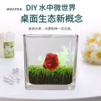 [COD] Ecological fish tank living room glass white tropical creative betta landscaping grass one piece on behalf of AliExpress