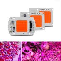 SOLLED 15W/20W/30W/50W LED COB Full Spectrum Plant Growth Lamp 380-840nm 【คลังสินค้าพร้อม】