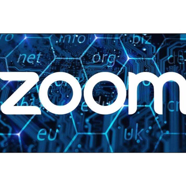 Zoom Pro 1 Day 1 month Rental (100/300/Zoom Meeting with inar Addon