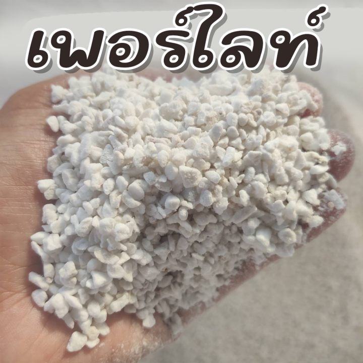 ถูกที่สุด-เพอร์ไลท์-perlite-พร้อมส่ง-เพื่อไม้มงคล-ไม้ฟอกอากาศ-ไม้ดอก-ไม้ประดับ-แคคตัส-ไม้อวบน้ำ