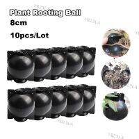 8cm Plant Rooting Box High Pressure Propagation Ball Grafting Device Garden Grafting Plant Root Controller Black x 10pcs YB23TH