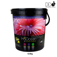 6.6kg - H2Ocean (Classic Formula) เกลือสำหรับตู้ทะเล