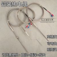 ✇℡♧ K-type armored thermocouple WRNK-191 PT100 platinum resistance temperature sensor bendable J/T-type probe