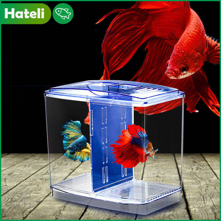 [HATELI] （16*14.5*9cm，Incubation + Rearing）Aquarium Tank Fish Betta ...