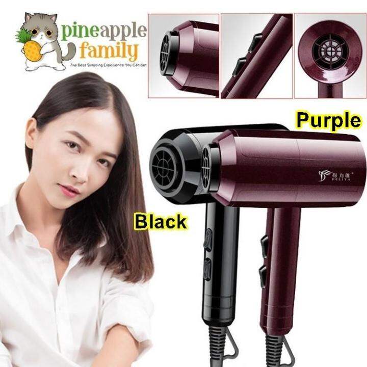Deliya Professional Hair Saloon Use Anion BlueRay Hair Dryer 2200W