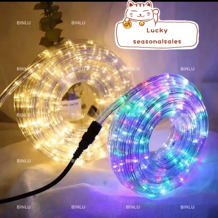 8M Indoor Outdoor Super Bright Led Rope Christmas lights Lazada PH