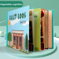 สติกเกอร์หนังสือเงียบ NB200-vege NB200ผักของเล่นเด็กการศึกษามอนเทสซอรี่สำหรับเด็กปฐมวัยแพคเกจวัสดุเสริมความรู้ความเข้าใจ