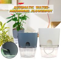 【CC】 Watering Pot With Round Flowerpot Garden